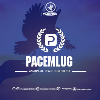 Pacemlug - Graphic